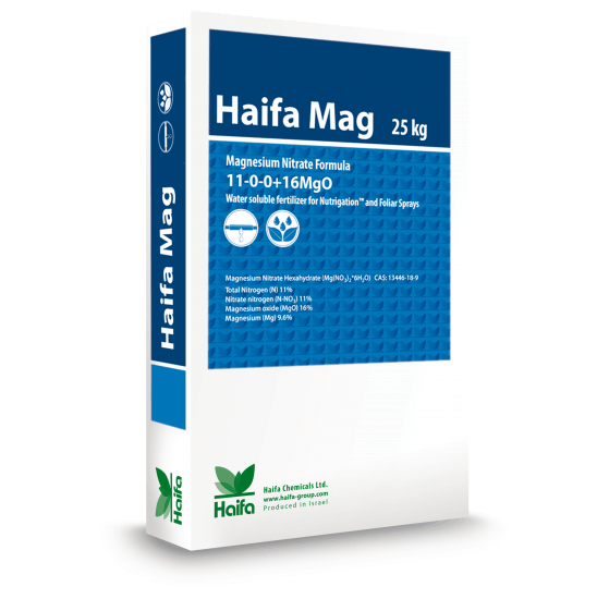 Haifa Mag